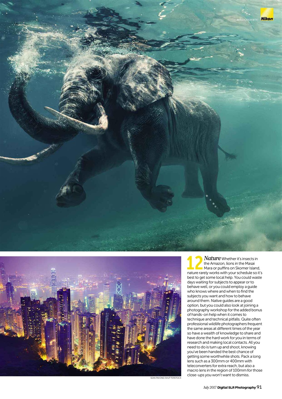 Digital SLR Photography Preview Pages