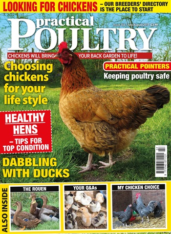 Practical Poultry issue No. 164 Looking for Chickens