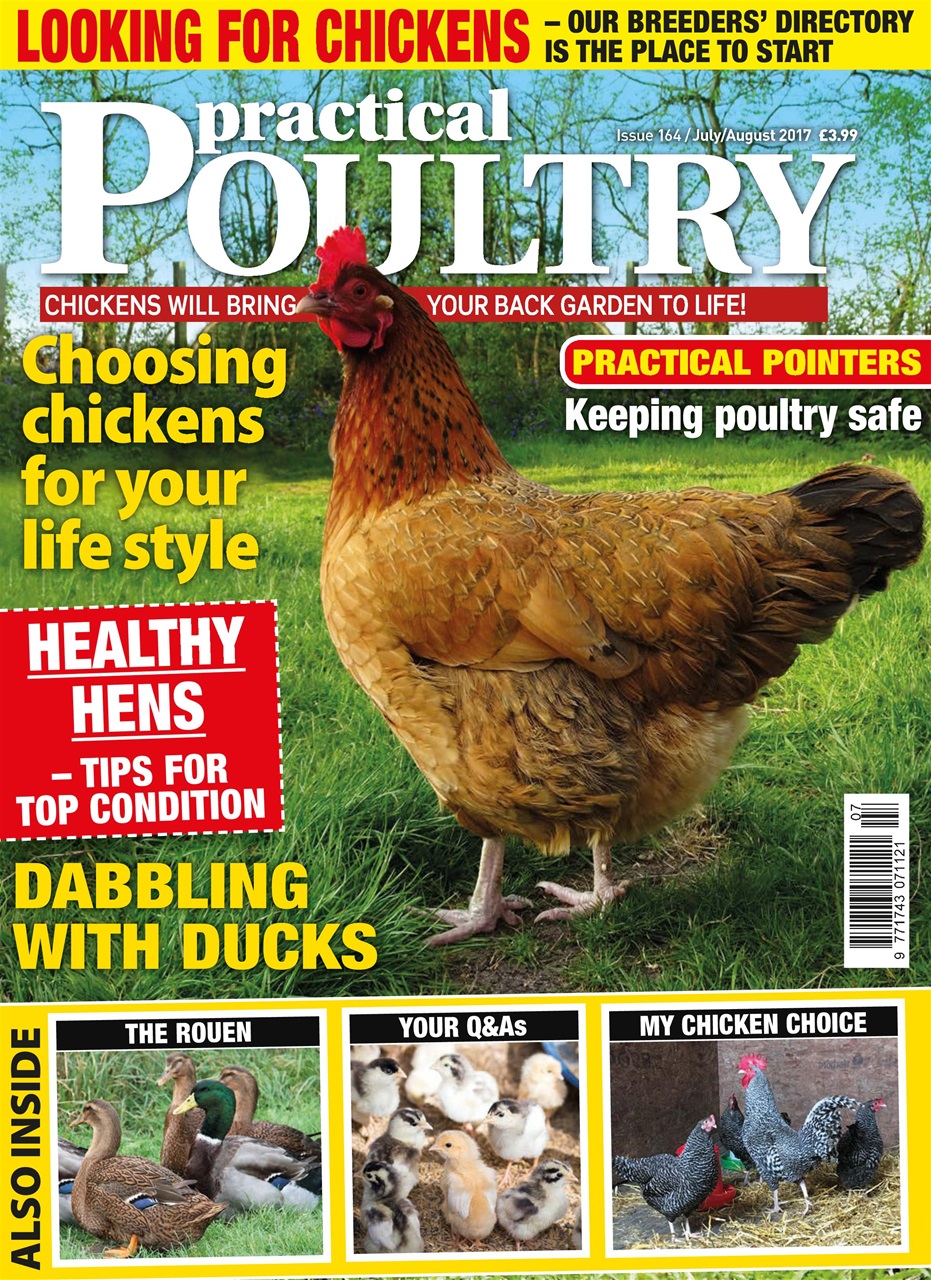 Practical Poultry Preview Pages