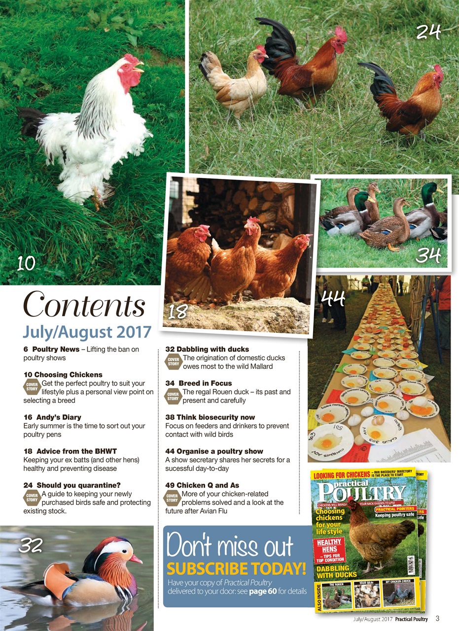 Practical Poultry Preview Pages