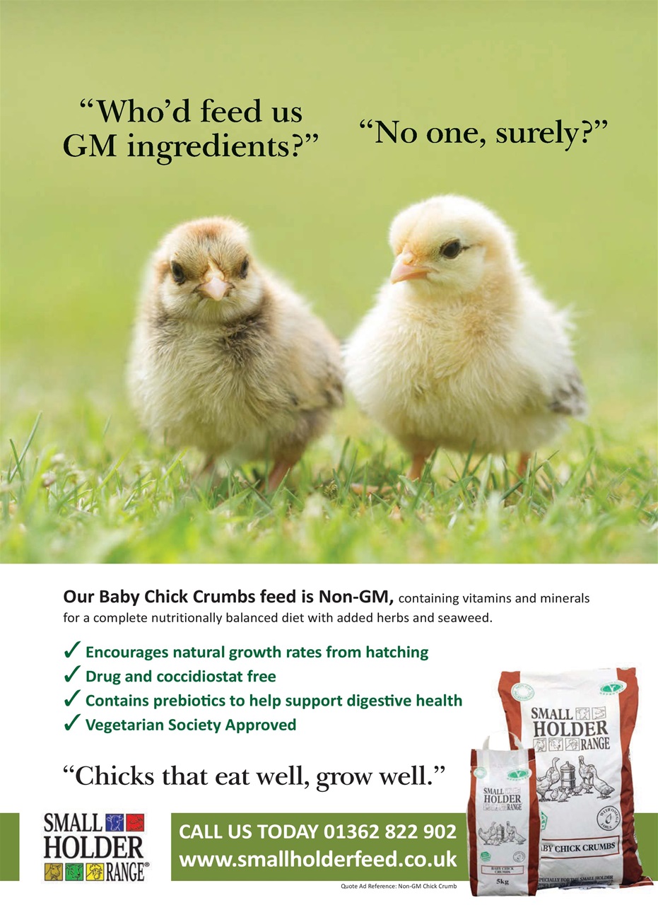 Practical Poultry Preview Pages