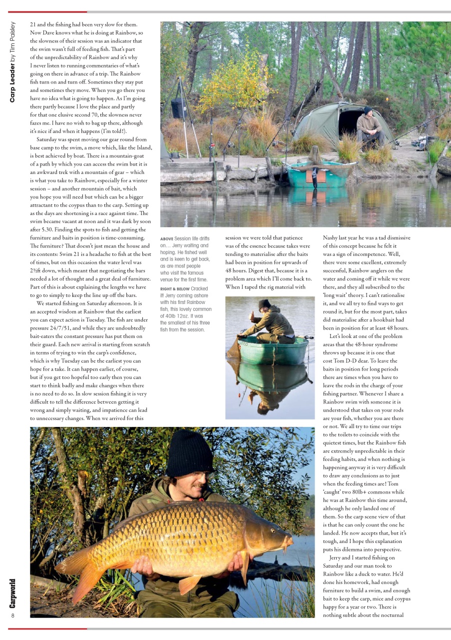 Carpworld Preview Pages