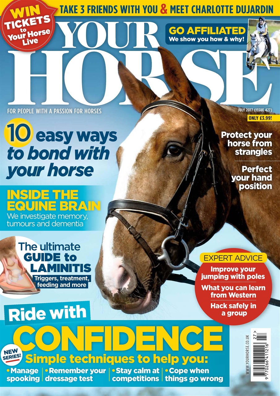 Your Horse Preview Pages