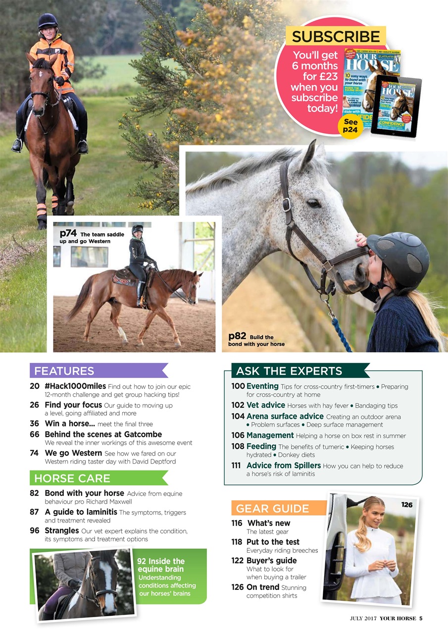 Your Horse Preview Pages