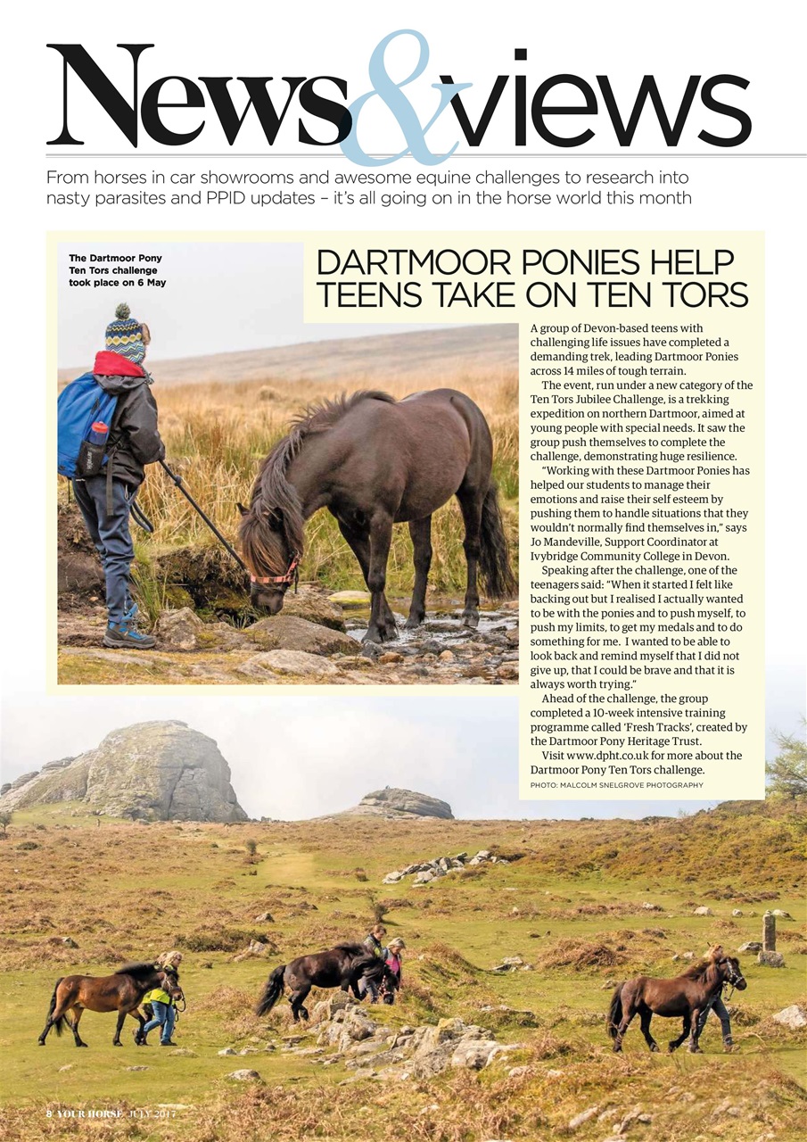 Your Horse Preview Pages