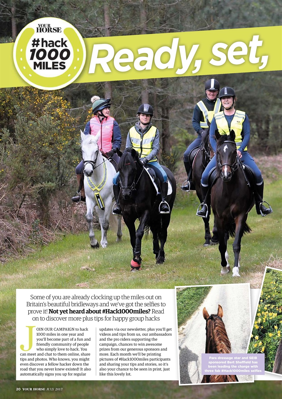 Your Horse Preview Pages