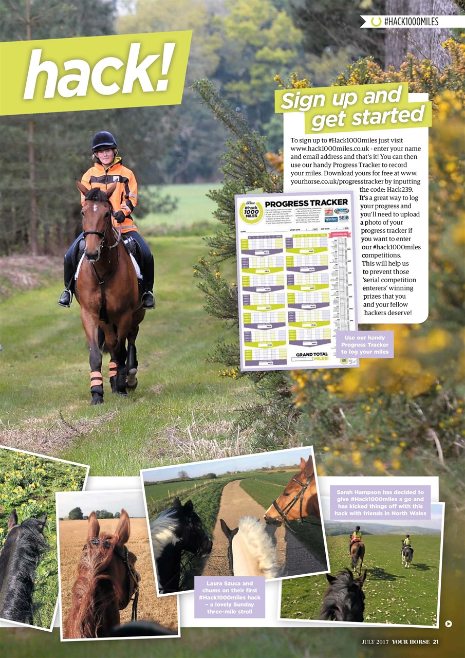 Your Horse Preview Pages