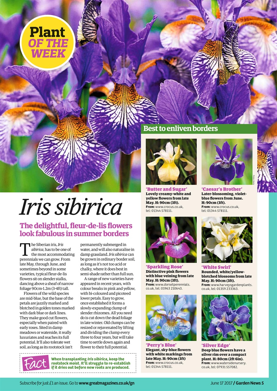 Garden News Preview Pages