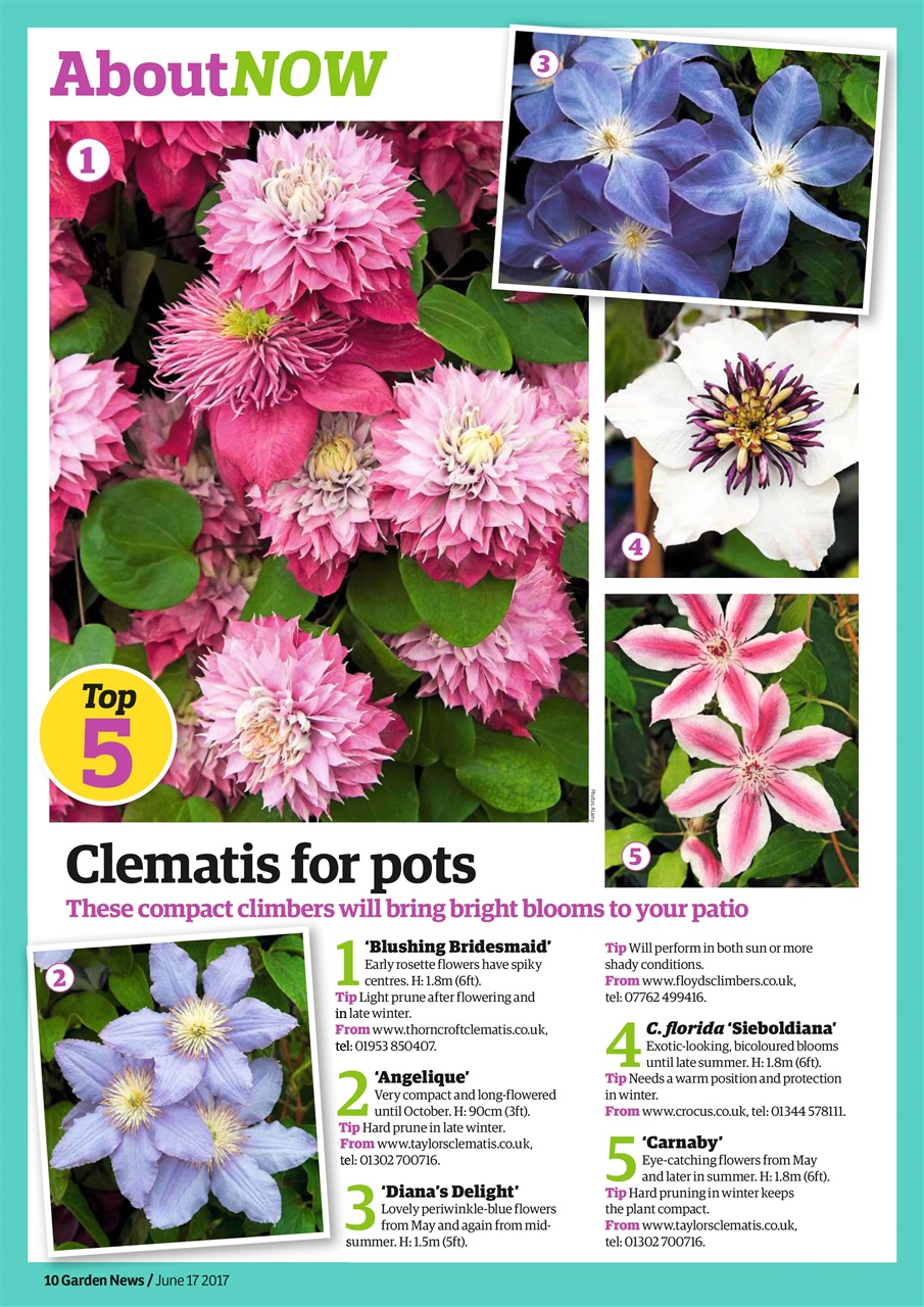 Garden News Preview Pages