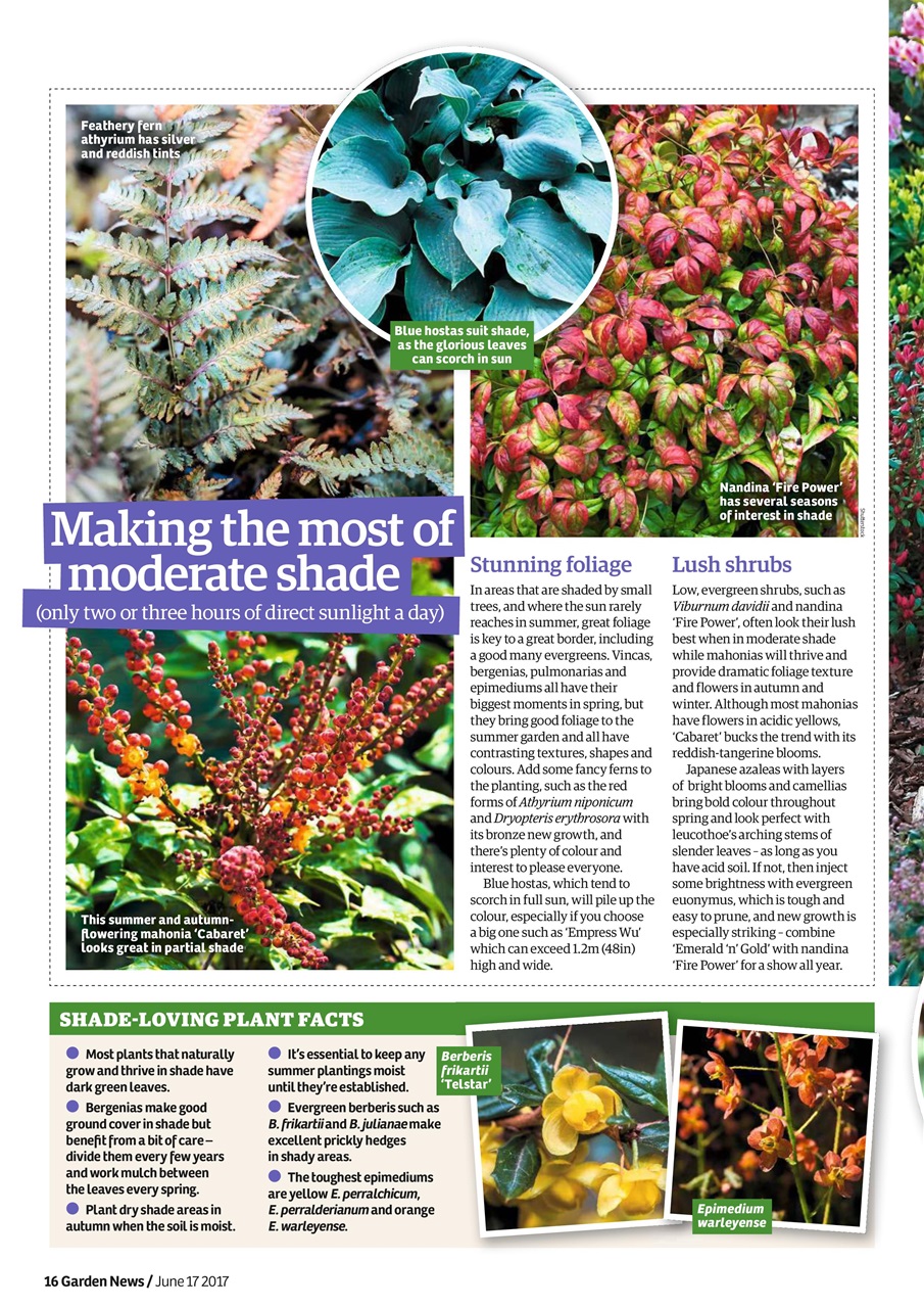 Garden News Preview Pages