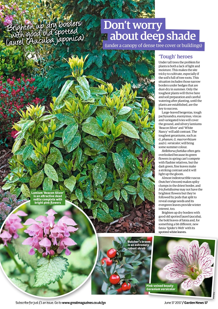 Garden News Preview Pages