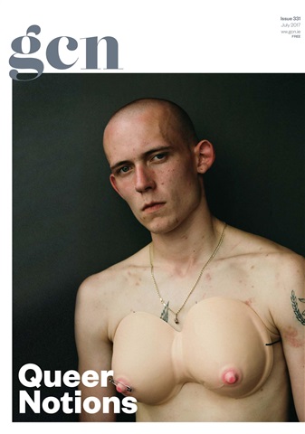 GCN issue 331