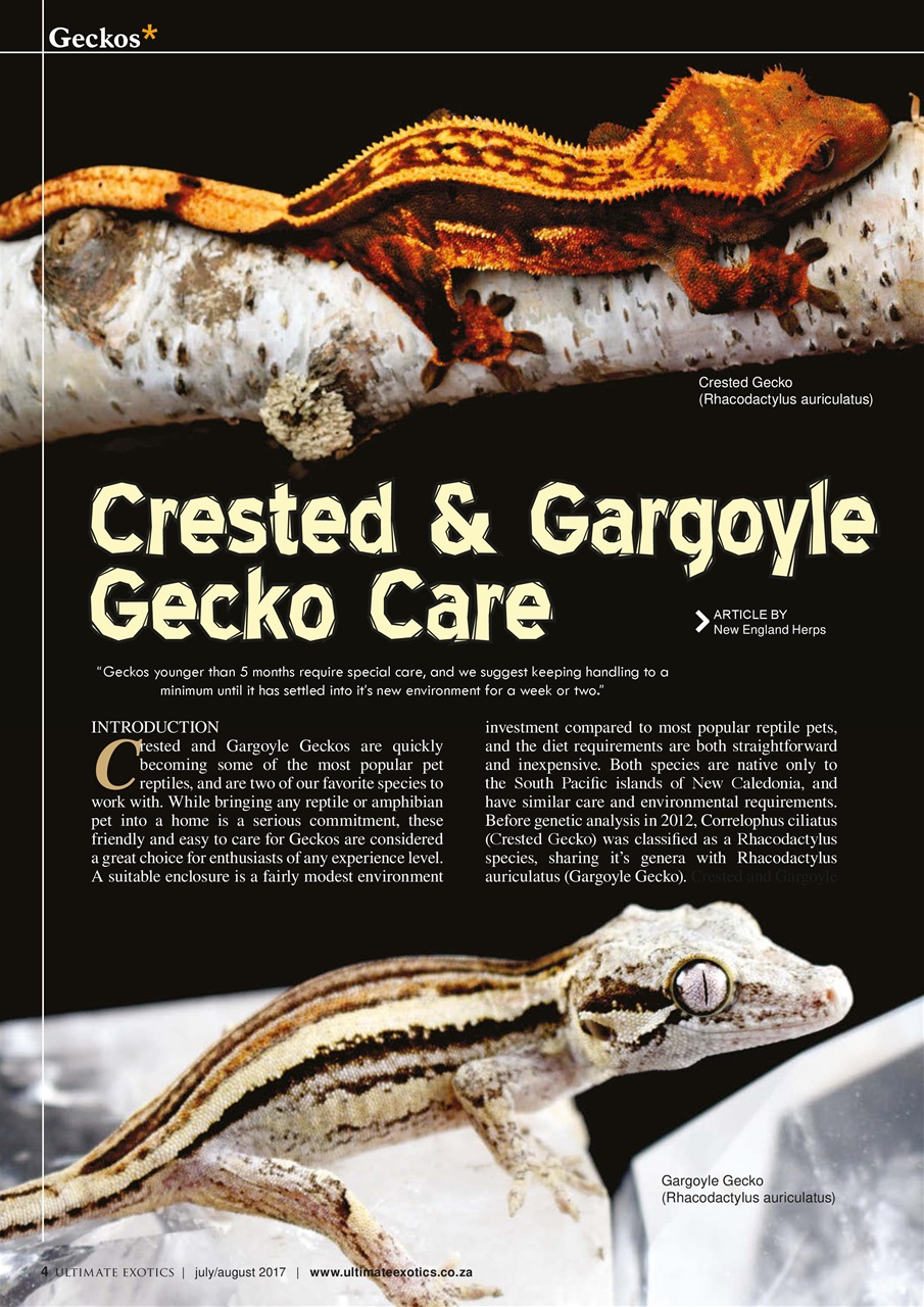 Ultimate Exotics Preview Pages