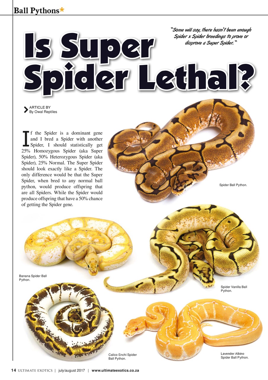 Ultimate Exotics Preview Pages