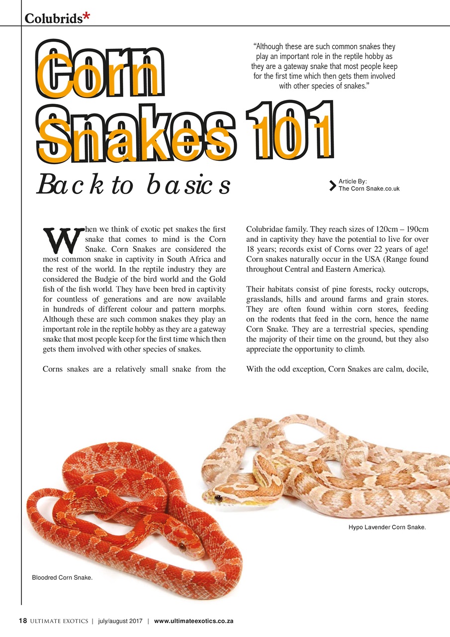 Ultimate Exotics Preview Pages