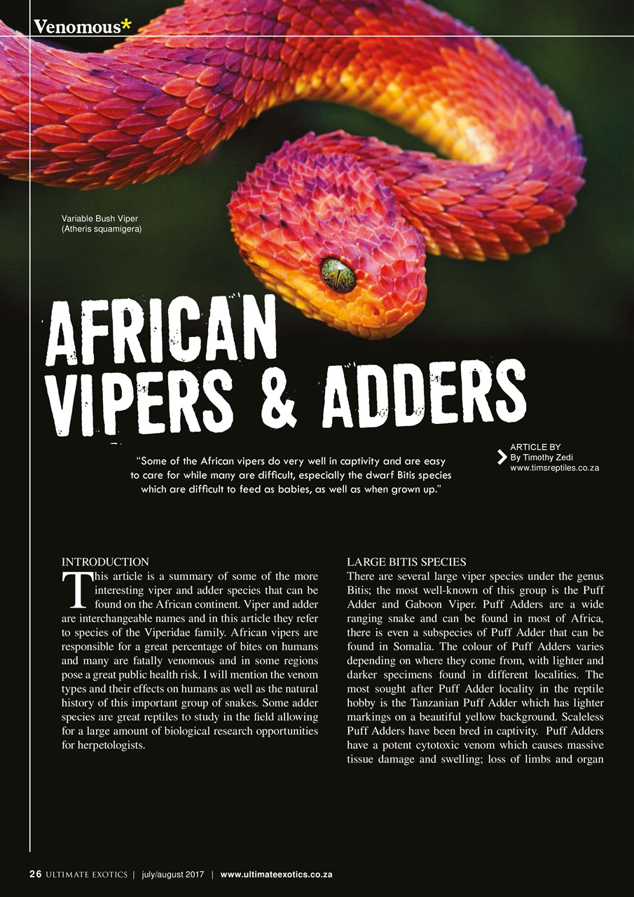 Ultimate Exotics Preview Pages