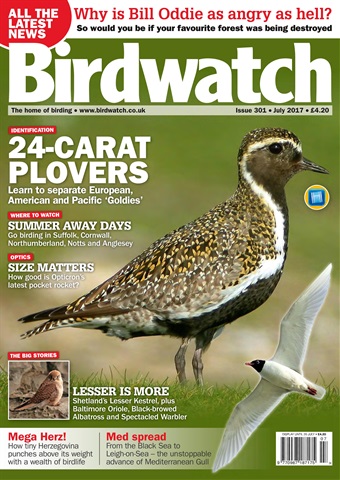 Birdwatch Magazine issue July 2017