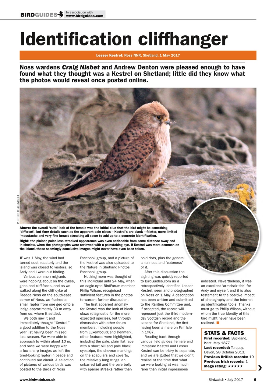 Birdwatch Magazine Preview Pages