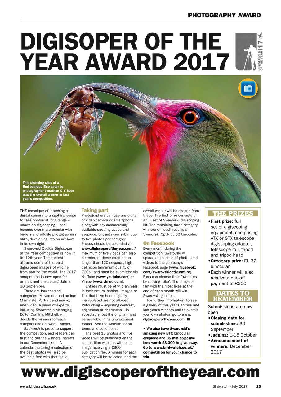 Birdwatch Magazine Preview Pages