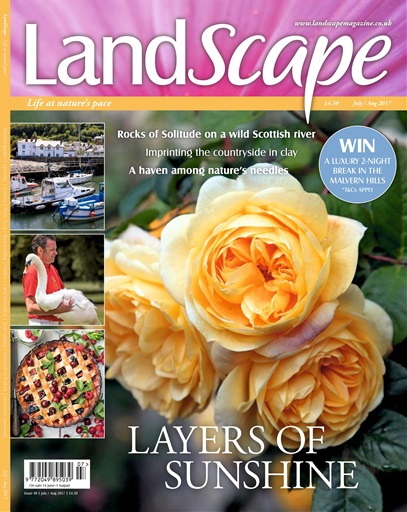 LandScape issue 