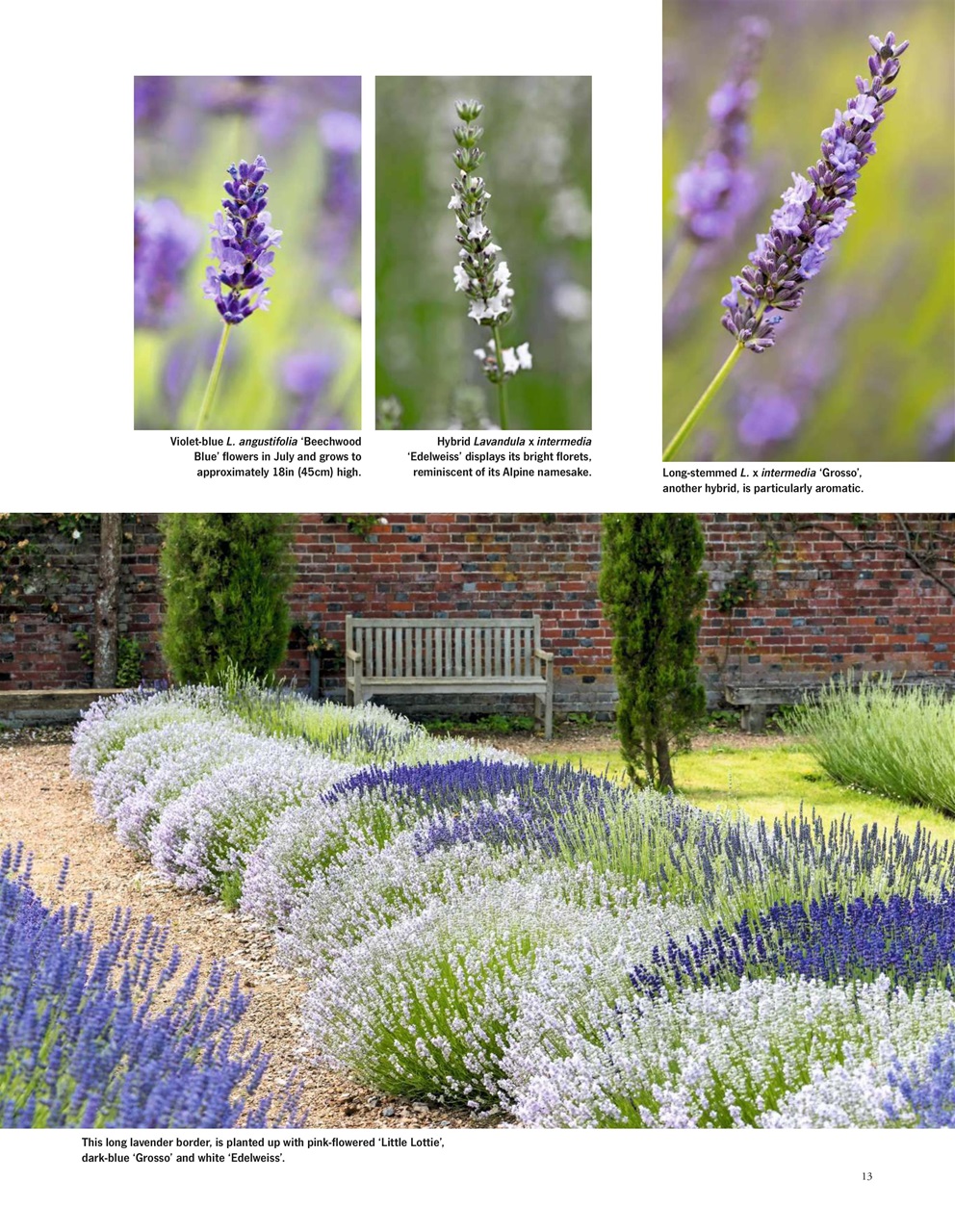 LandScape Preview Pages