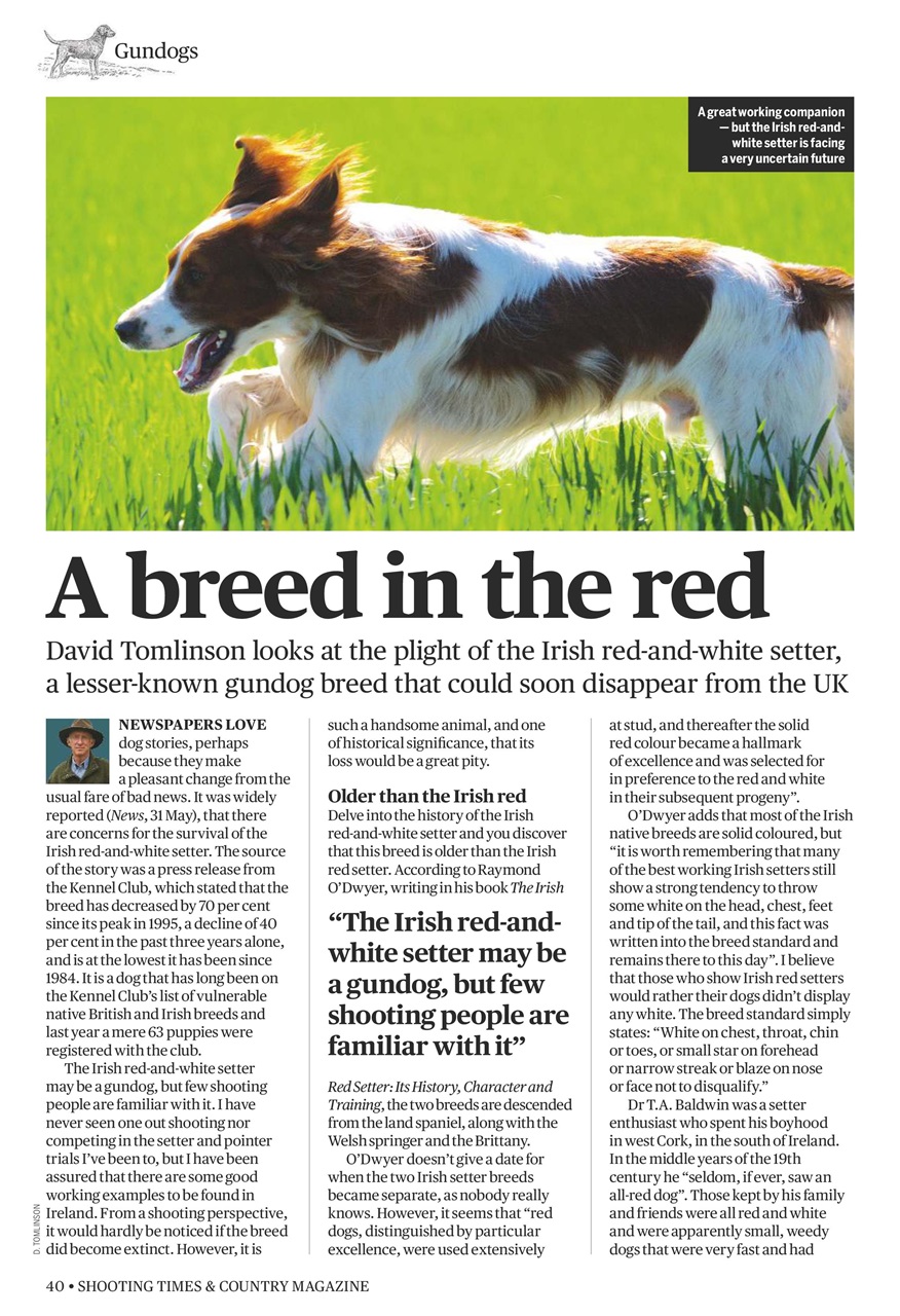 Shooting Times & Country Preview Pages