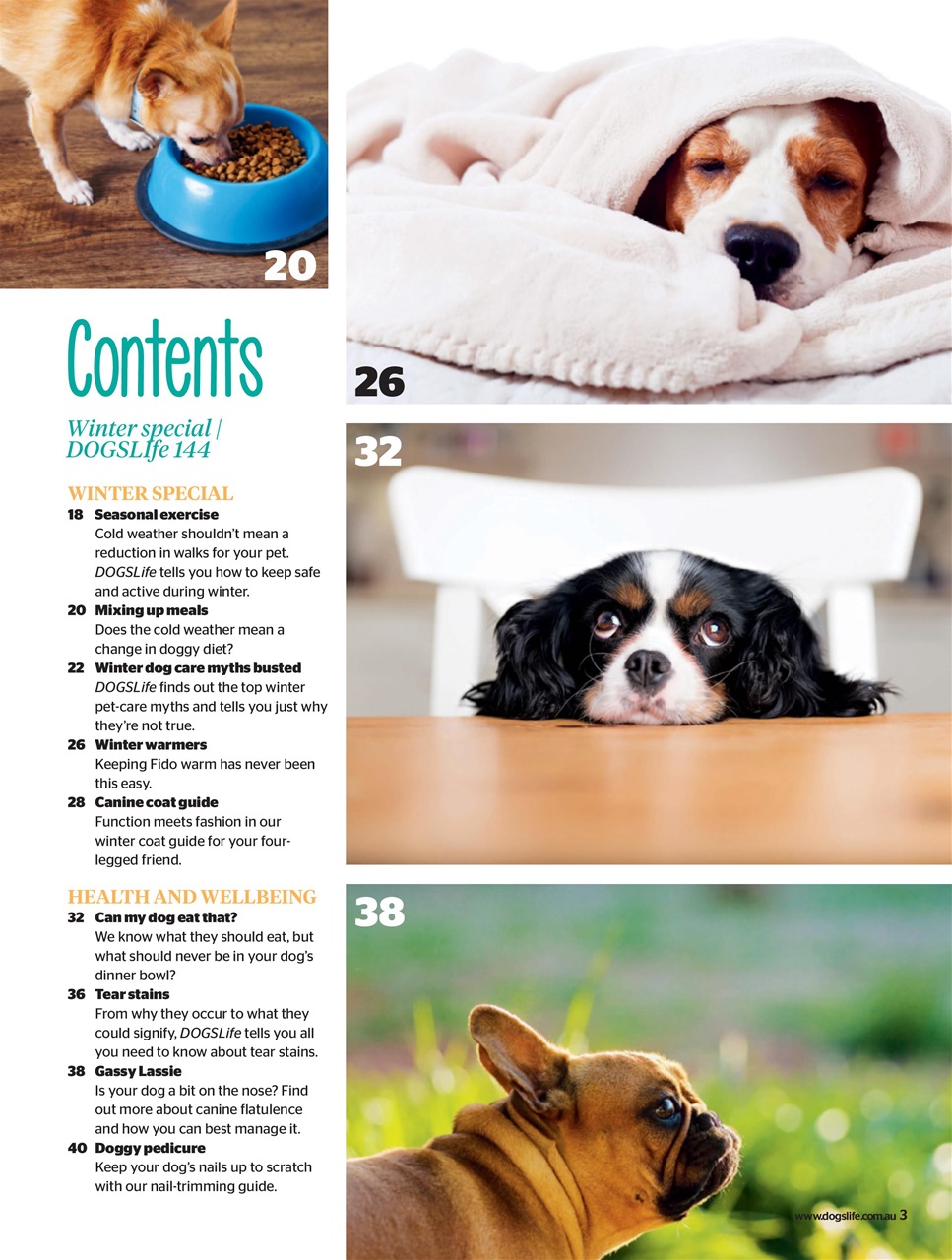 Dogs Life Preview Pages