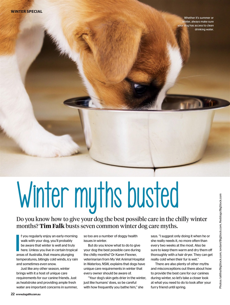 Dogs Life Preview Pages