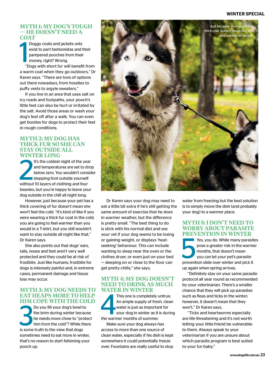 Dogs Life Preview Pages