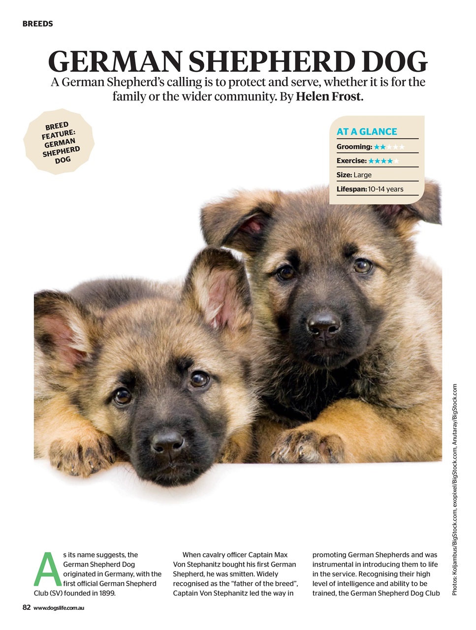 Dogs Life Preview Pages