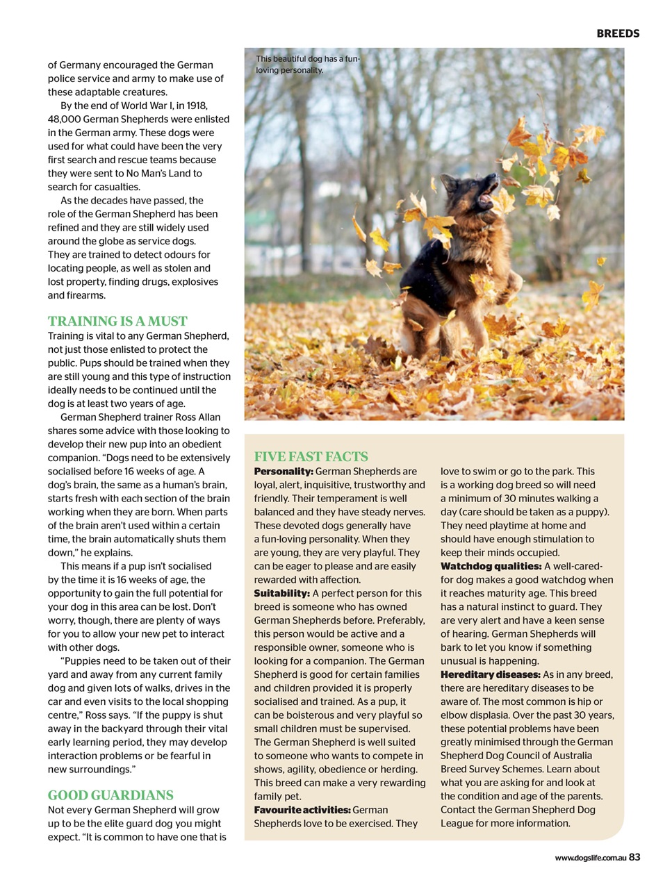 Dogs Life Preview Pages