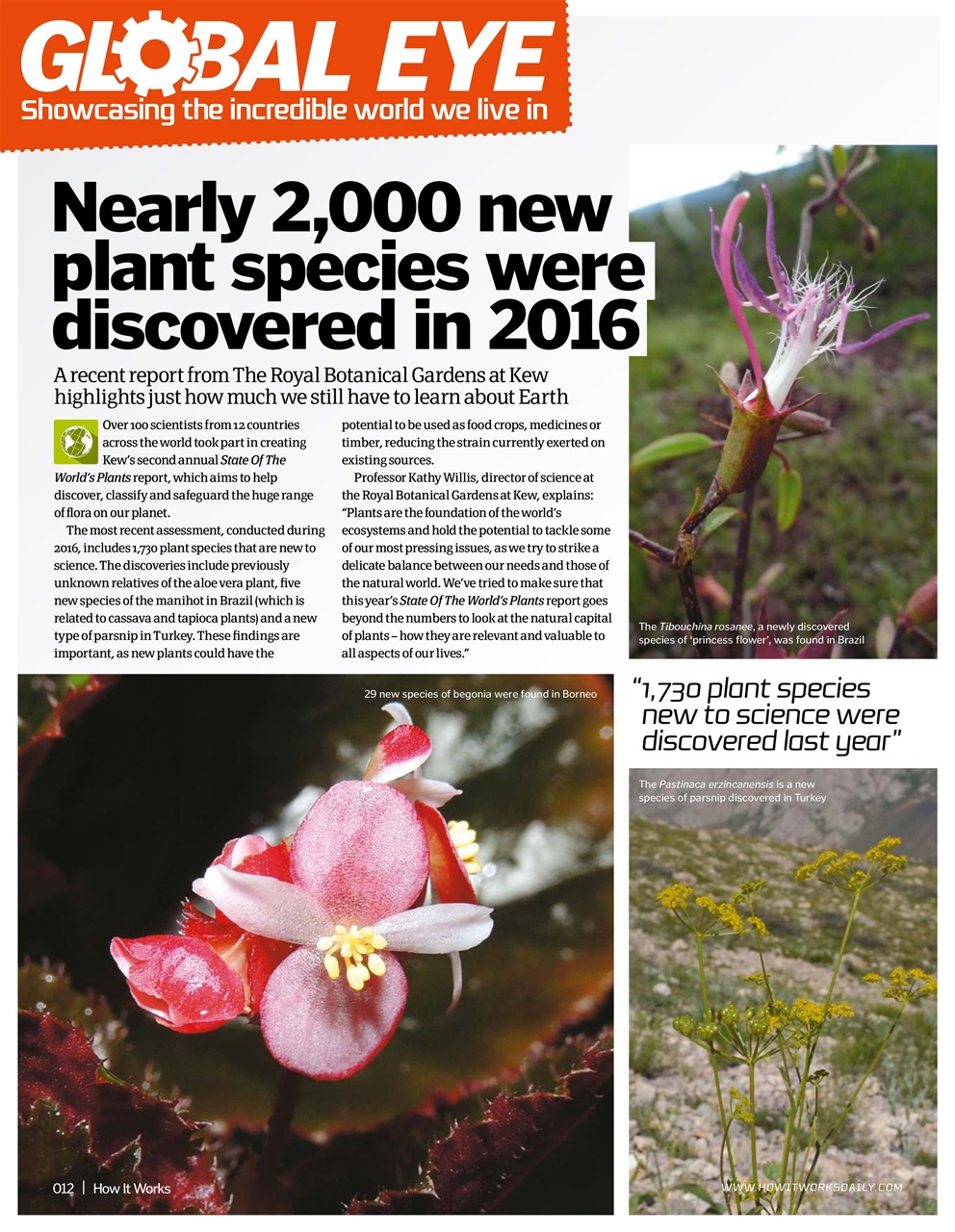 How It Works Preview Pages