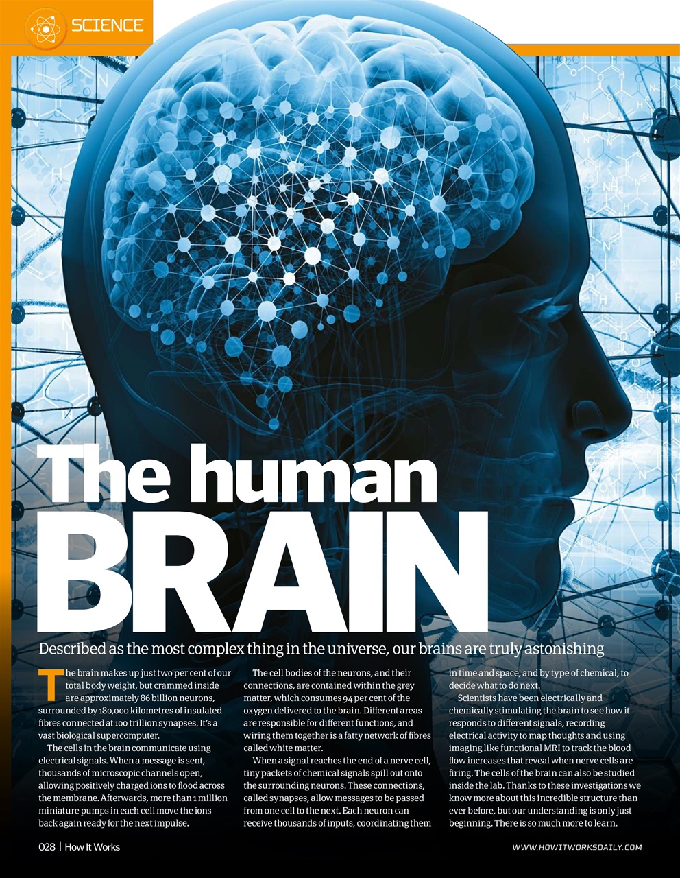 How It Works Preview Pages