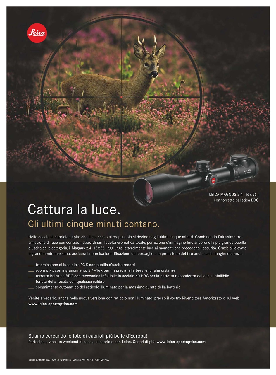 Caccia Magazine Preview Pages
