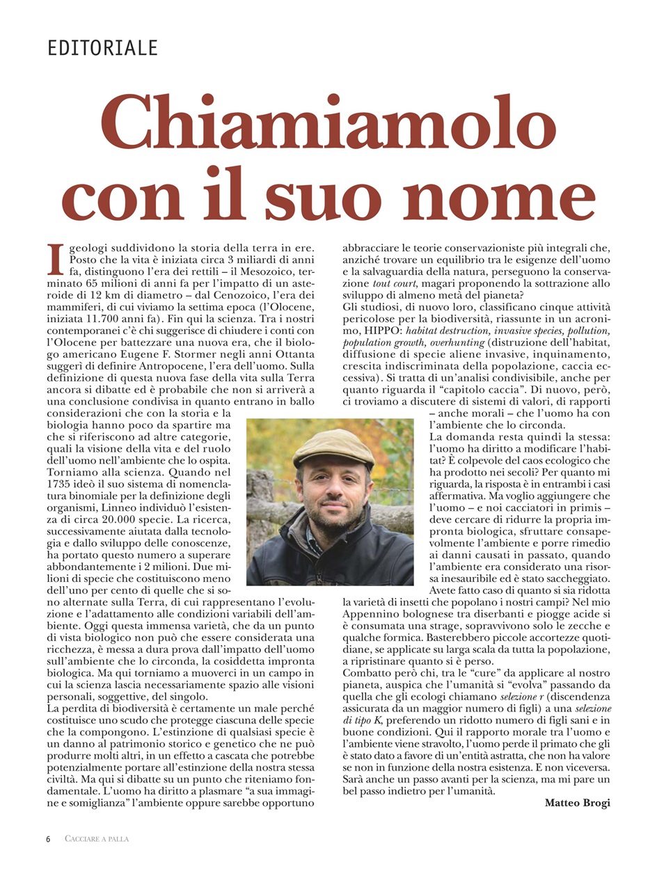 Caccia Magazine Preview Pages