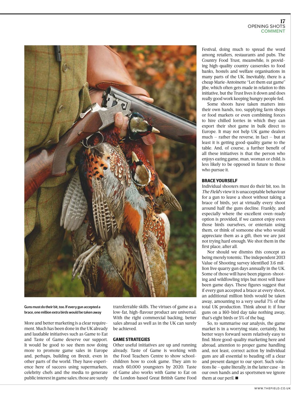 The Field Preview Pages