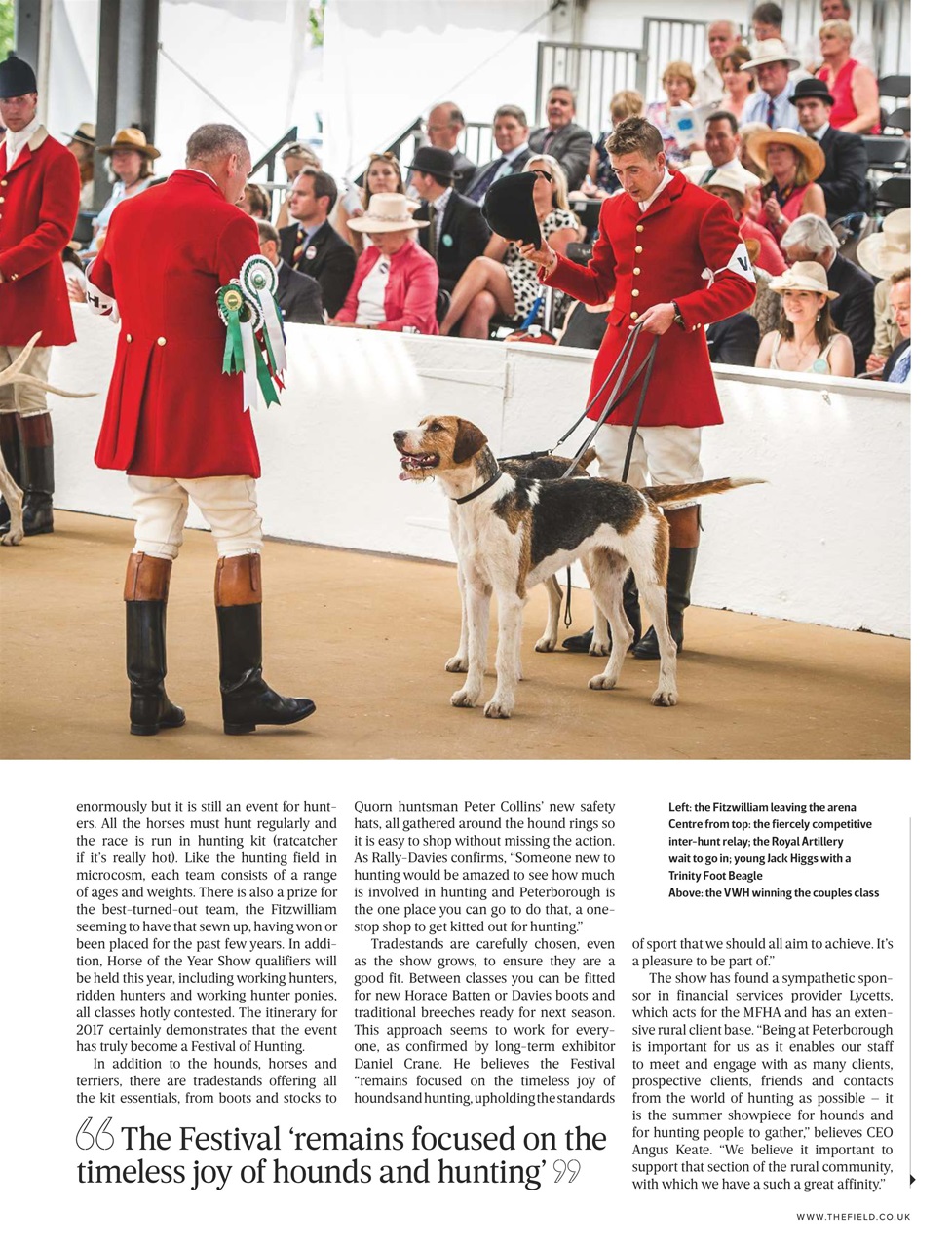 The Field Preview Pages