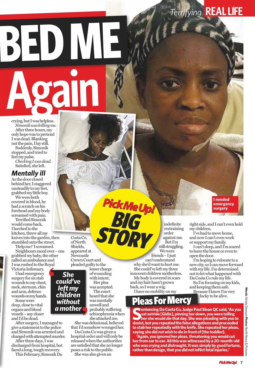 Pick Me Up Preview Pages