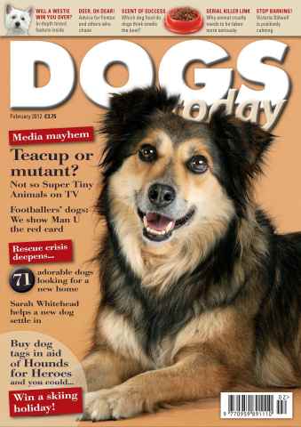 Dogs Today Magazine issue February 2012