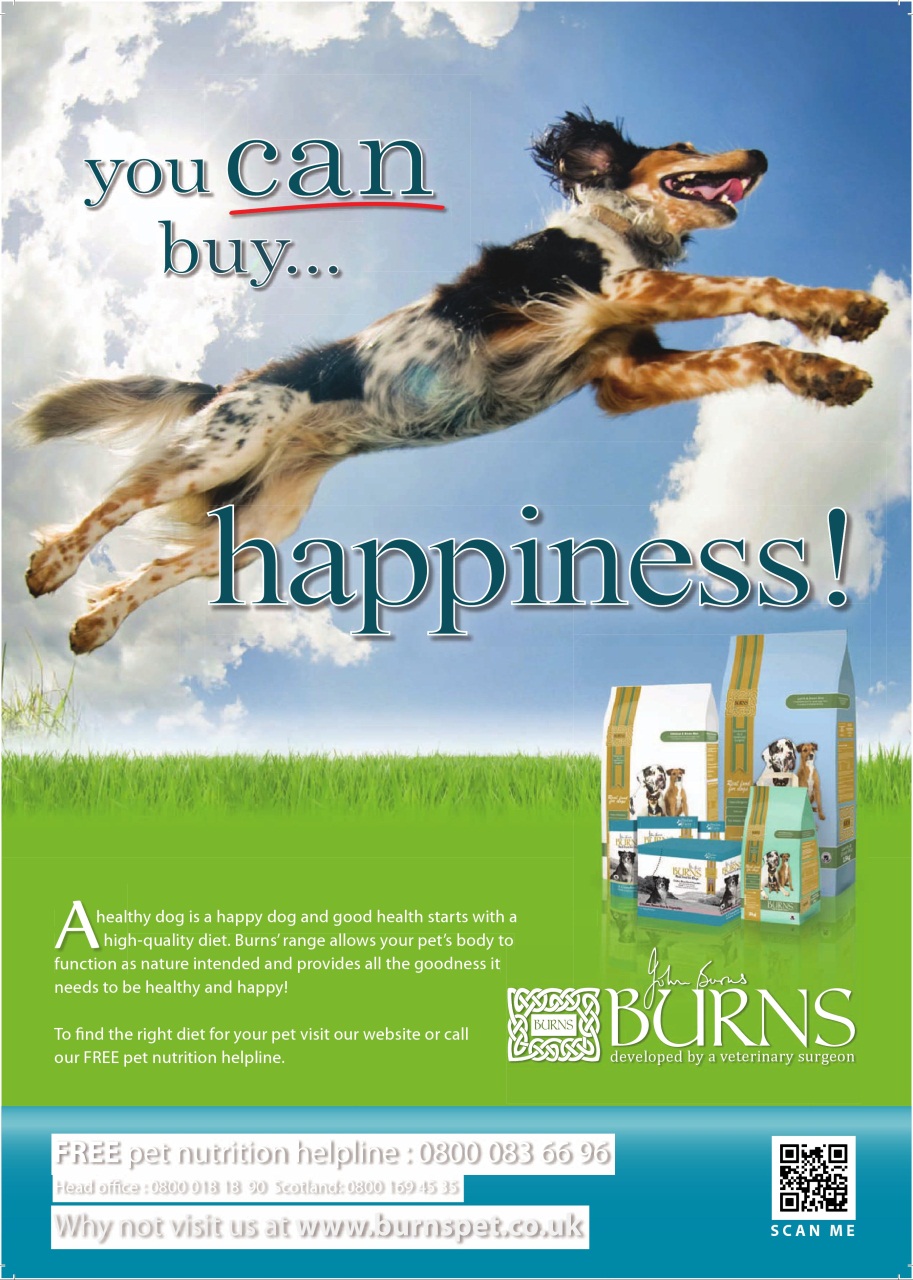 Dogs Today Magazine Preview Pages