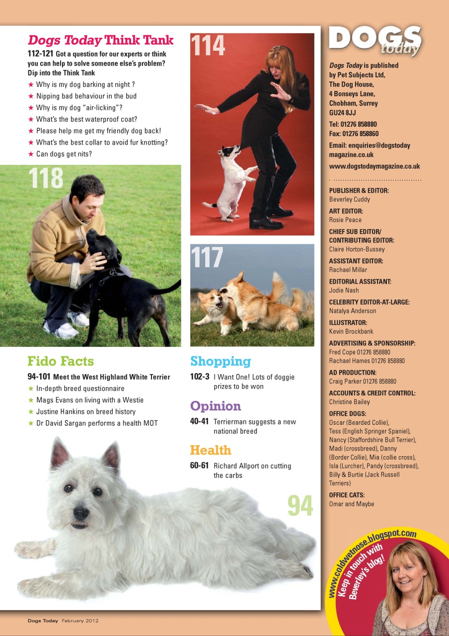 Dogs Today Magazine Preview Pages