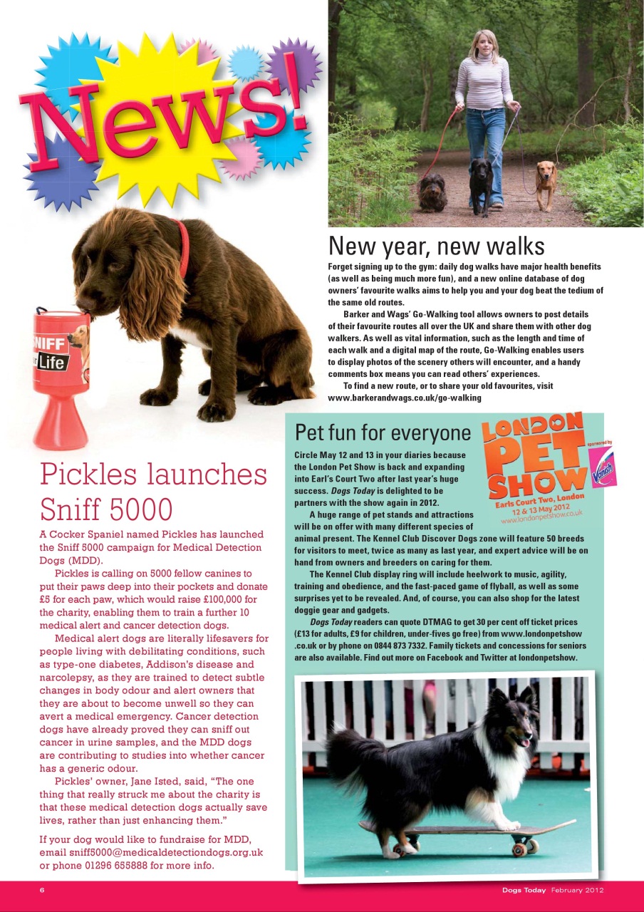 Dogs Today Magazine Preview Pages