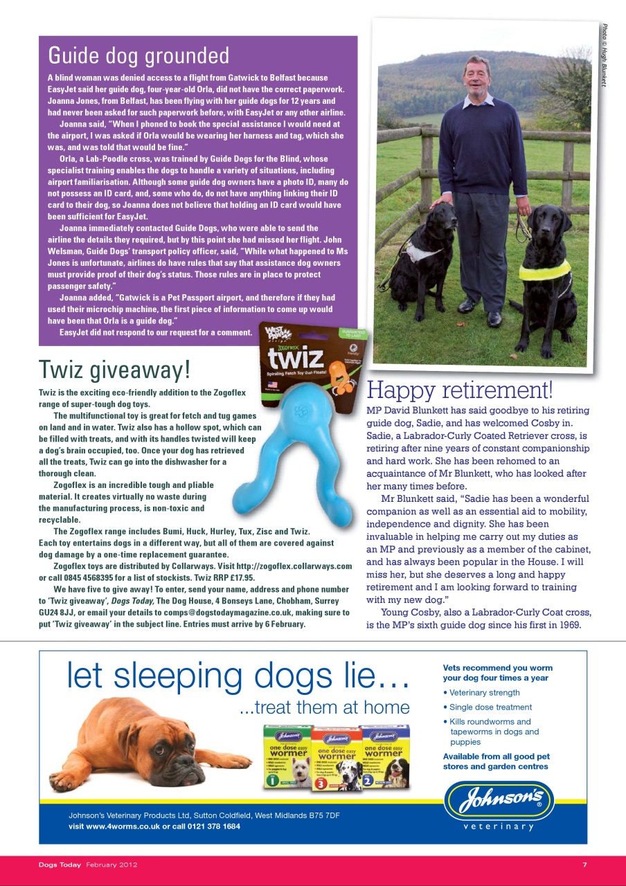 Dogs Today Magazine Preview Pages