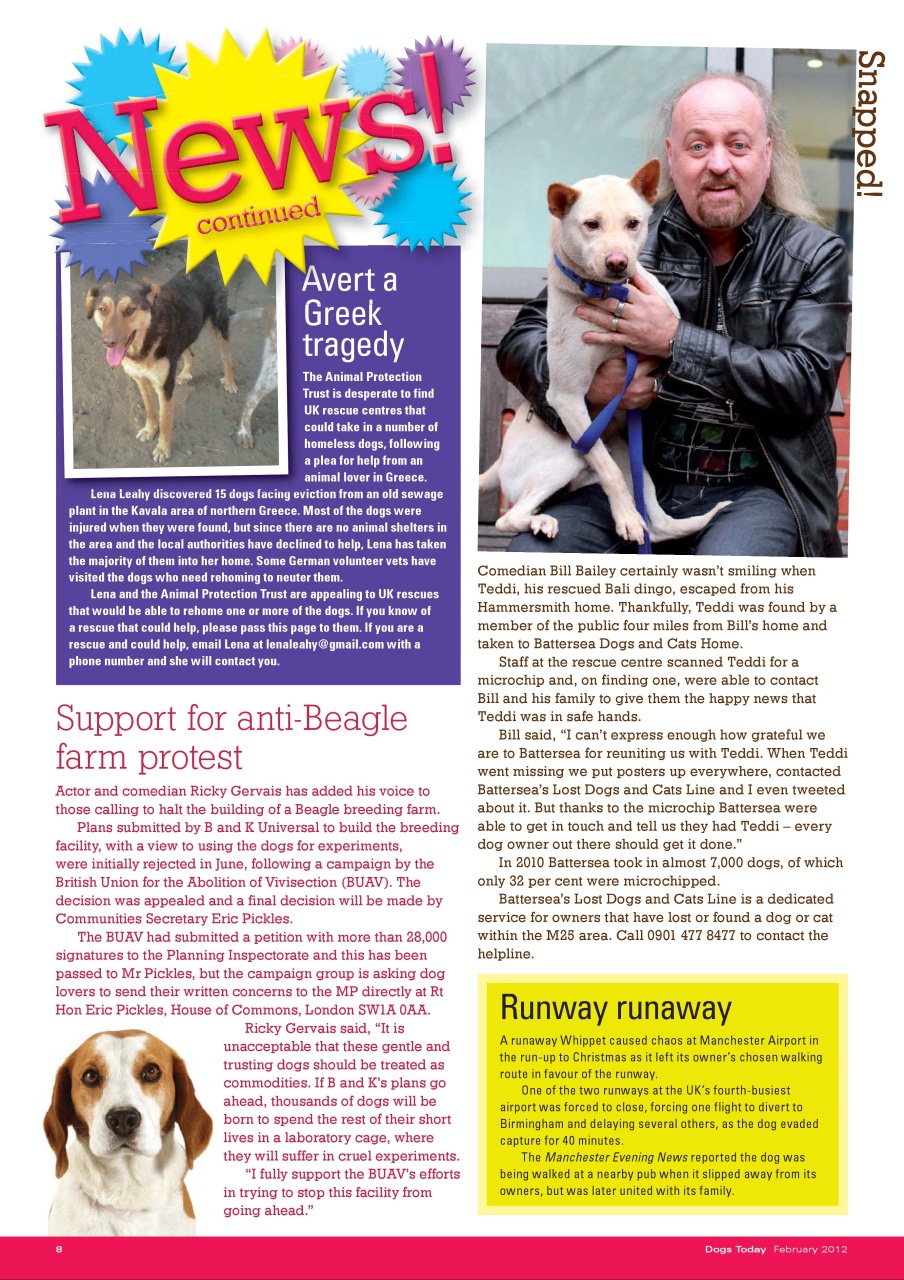 Dogs Today Magazine Preview Pages