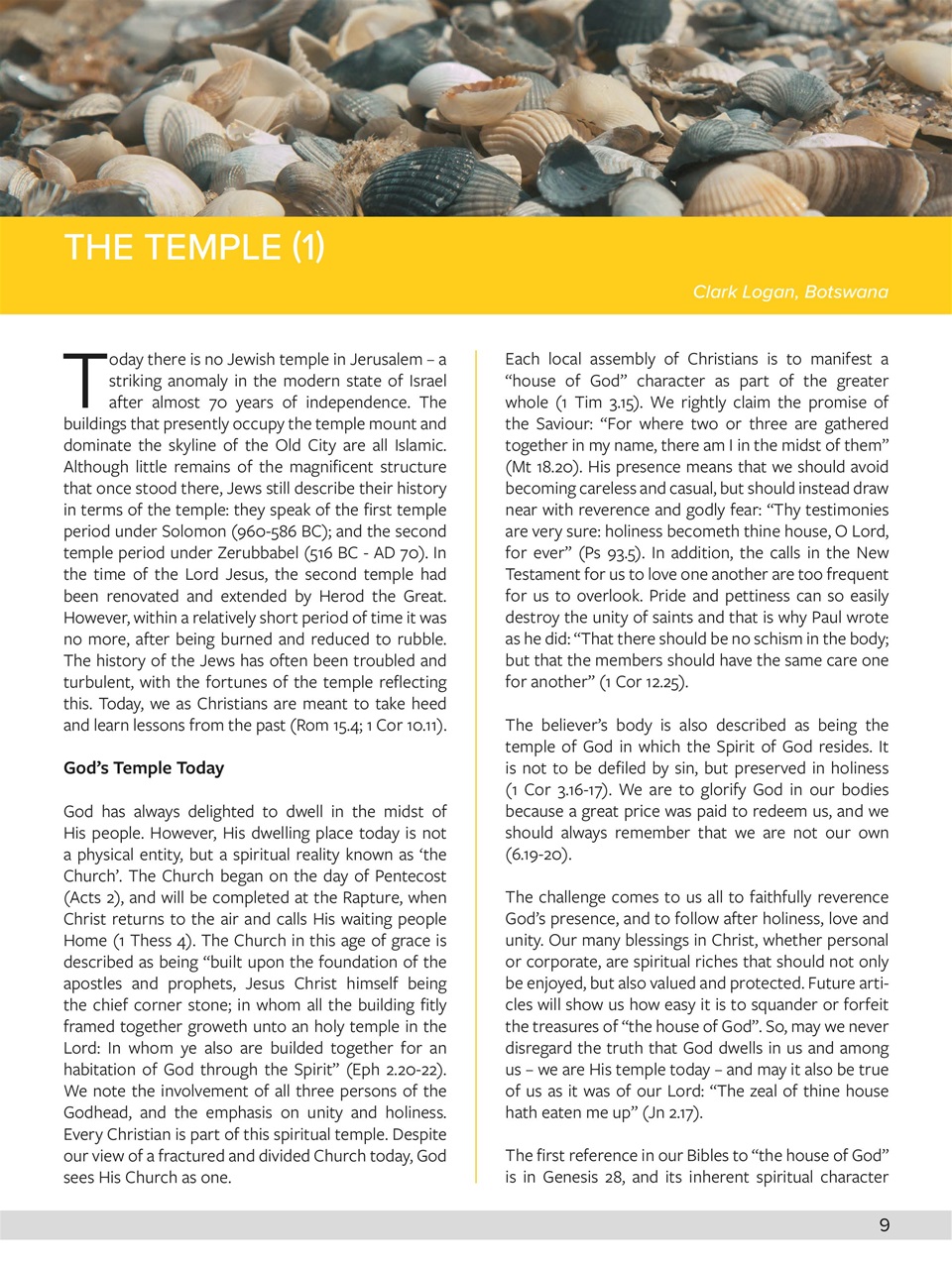 Believer Magazine Preview Pages