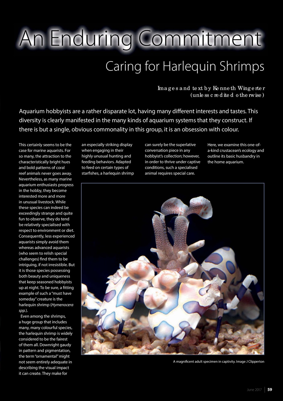 UltraMarine Magazine Preview Pages