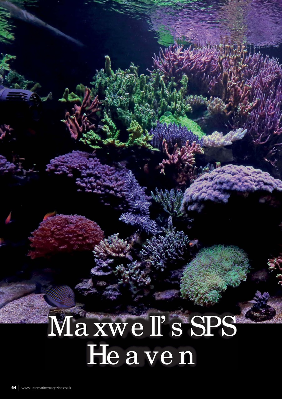 UltraMarine Magazine Preview Pages