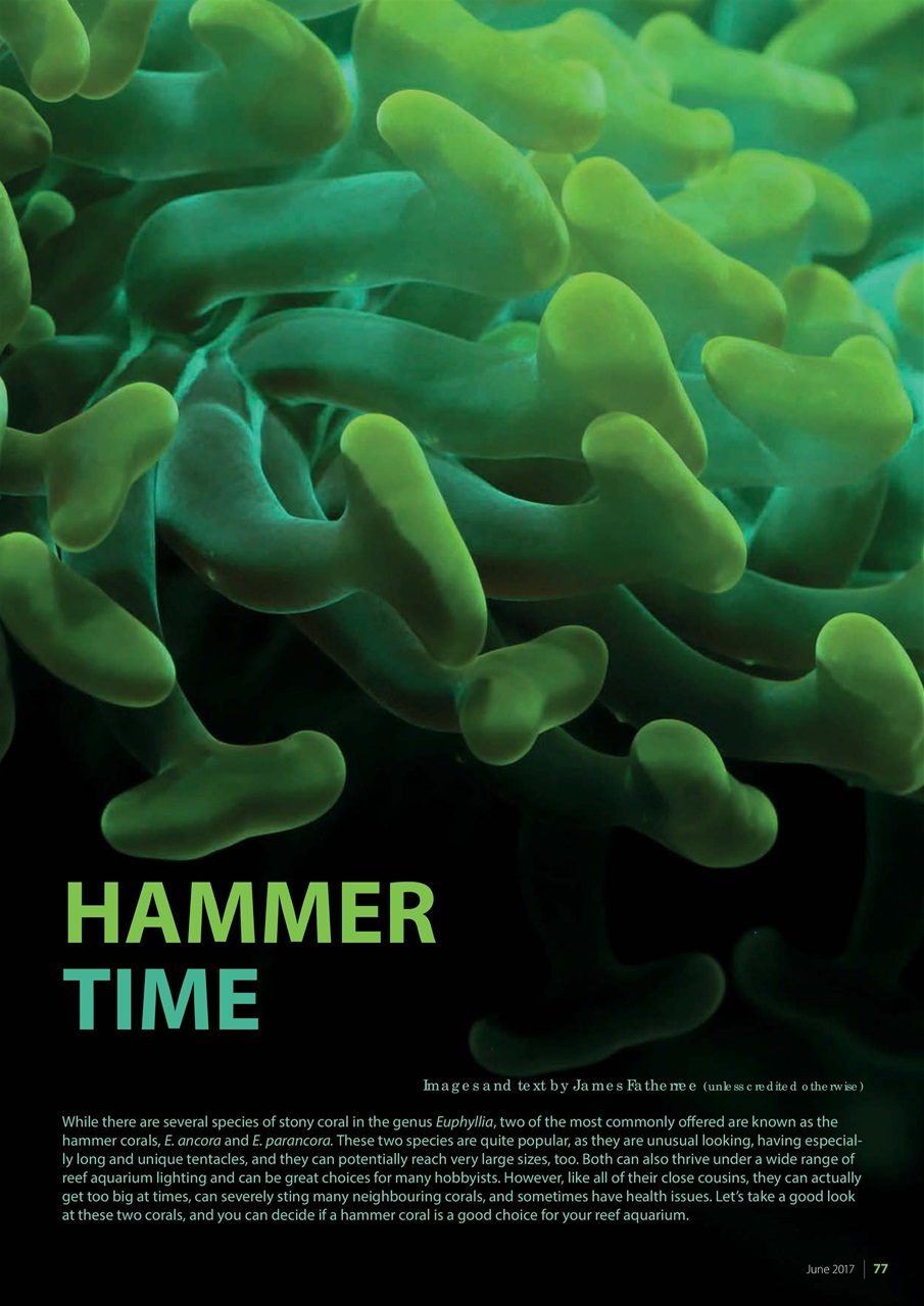 UltraMarine Magazine Preview Pages