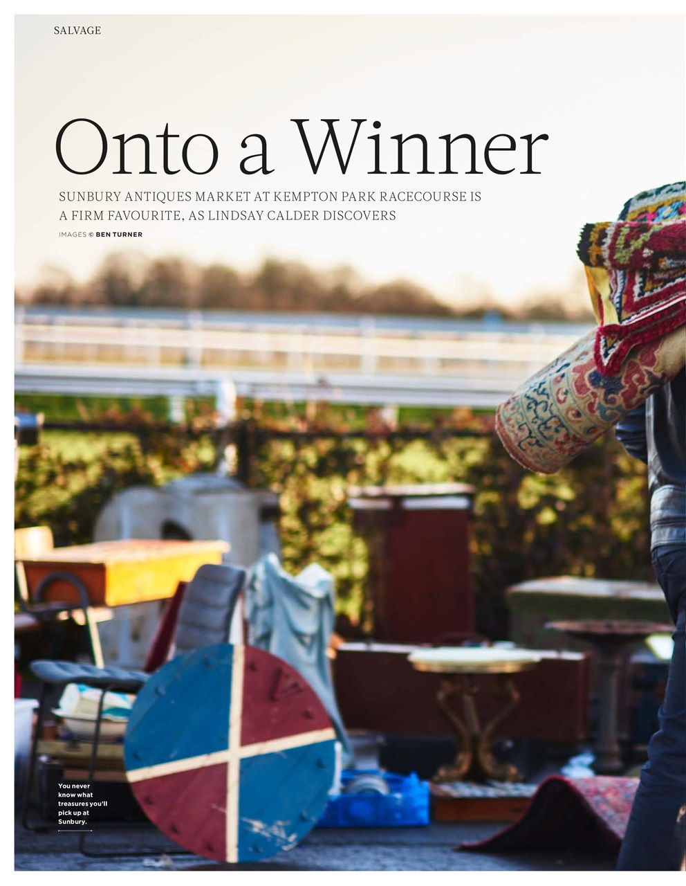 Reclaim Preview Pages