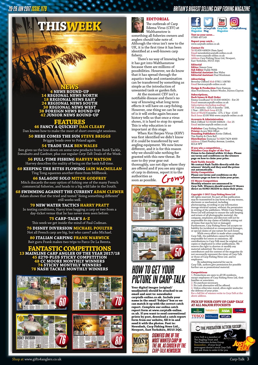 Carp-Talk Preview Pages